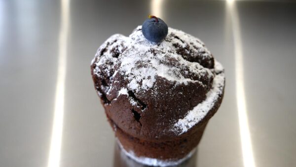 Gâteau au chocolat et fruits rouges