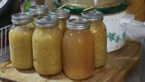 Compote de pommes / poire