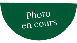 Texte indicatif