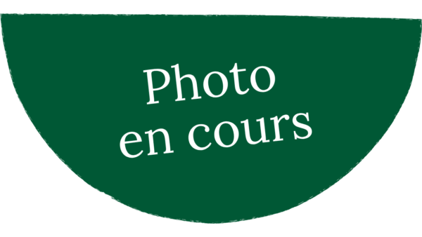 En attente de l’image du produit